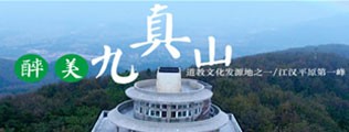大黑逼干干网区