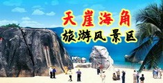 日韩大鸡巴狂操骚逼海南三亚-天崖海角旅游风景区