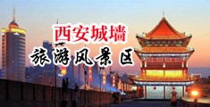 日韩大鸡巴中国陕西-西安城墙旅游风景区