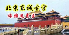 艹美女嫩逼全集播放全集播放中国北京-东城古宫旅游风景区