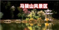 中年妇女av网站