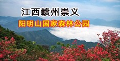 操无毛白虎小嫩逼